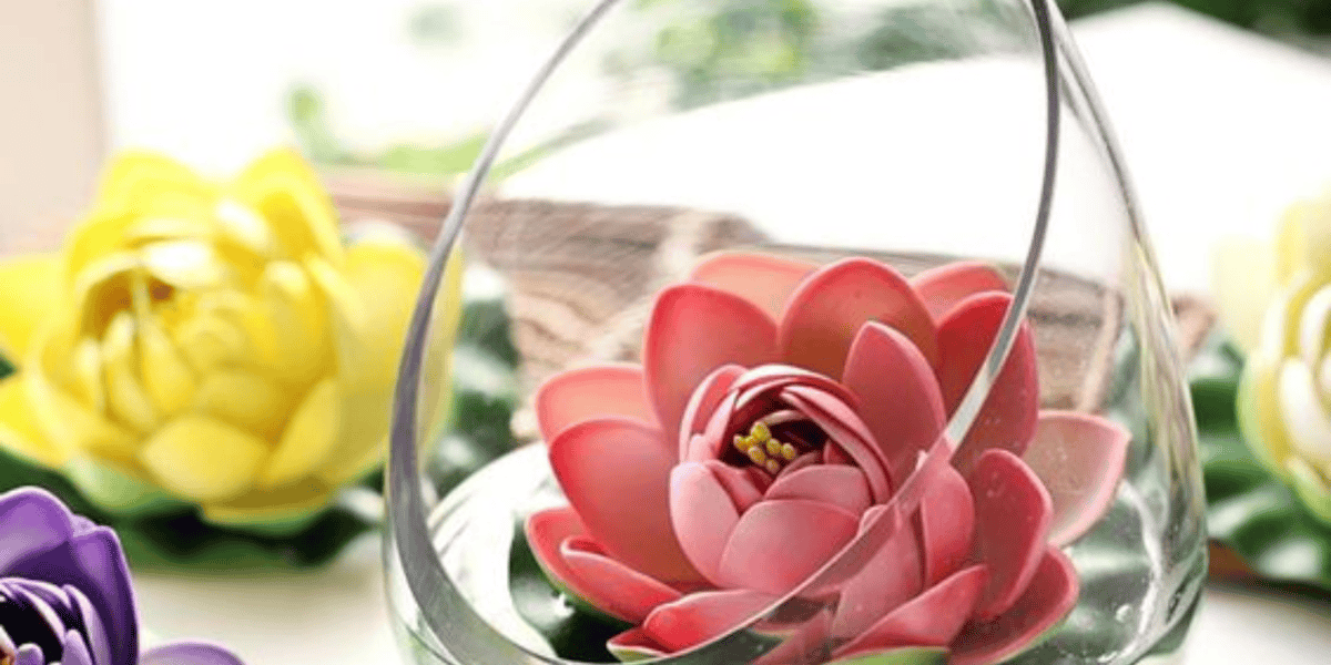 Flor de loto: propiedades y beneficios